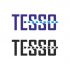 Логотип для TESSO - дизайнер allhron