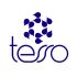 Логотип для TESSO - дизайнер Krakazjava