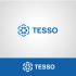 Логотип для TESSO - дизайнер lia-creation
