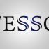 Логотип для TESSO - дизайнер Svetikzx90