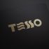 Логотип для TESSO - дизайнер trojni
