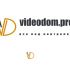 Логотип для videodom.pro - дизайнер mit60