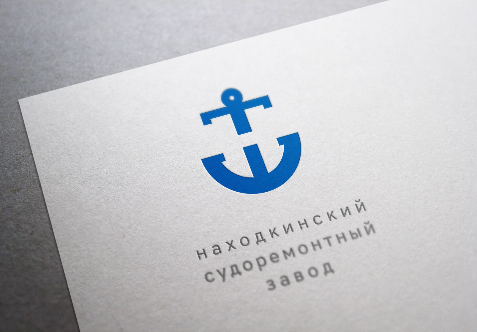 Лого и фирменный стиль для НСРЗ - дизайнер irkin