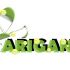 Лого и фирменный стиль для ARIGANA - дизайнер kifirchik