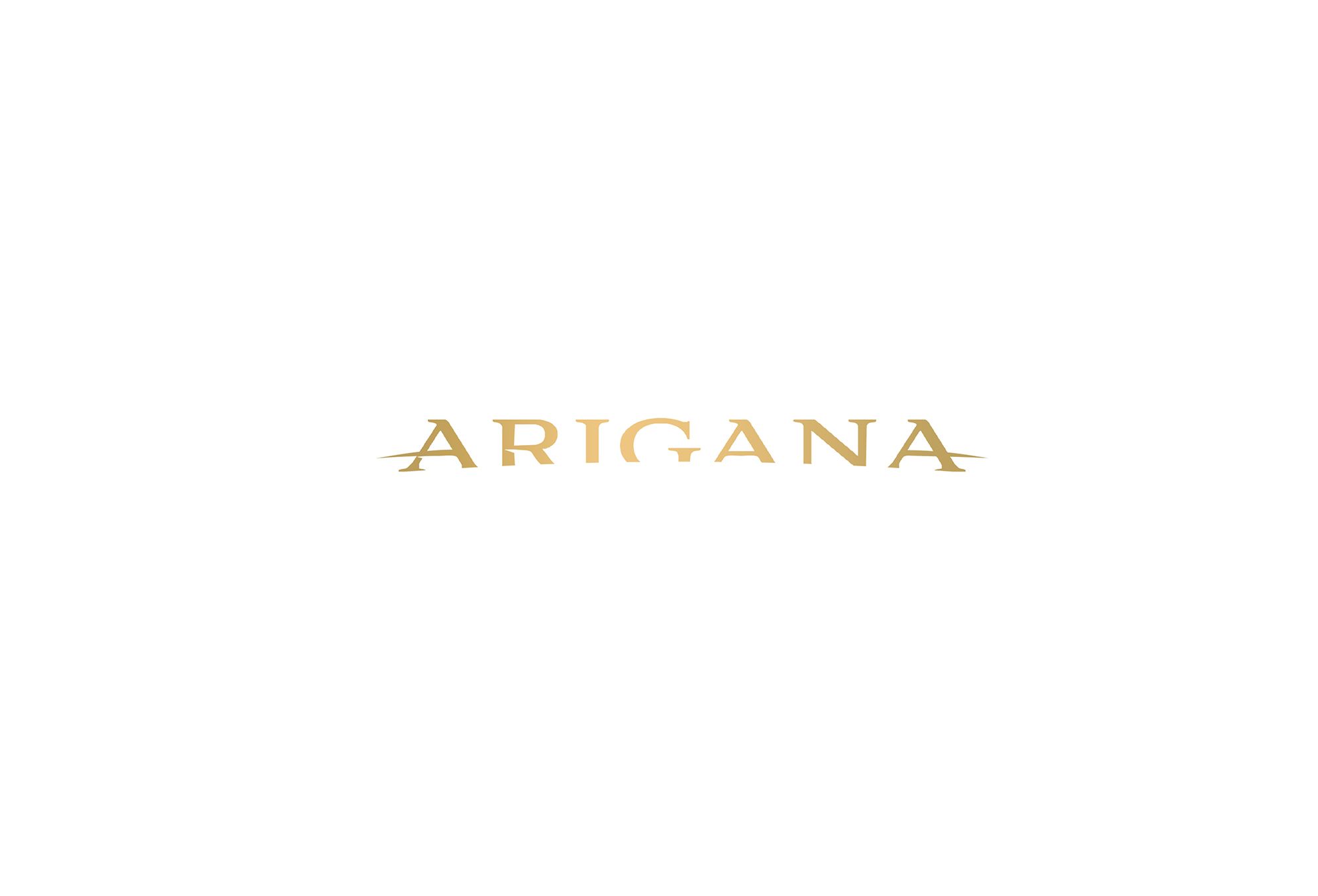 Лого и фирменный стиль для ARIGANA - дизайнер bodriq