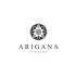 Лого и фирменный стиль для ARIGANA - дизайнер graphin4ik
