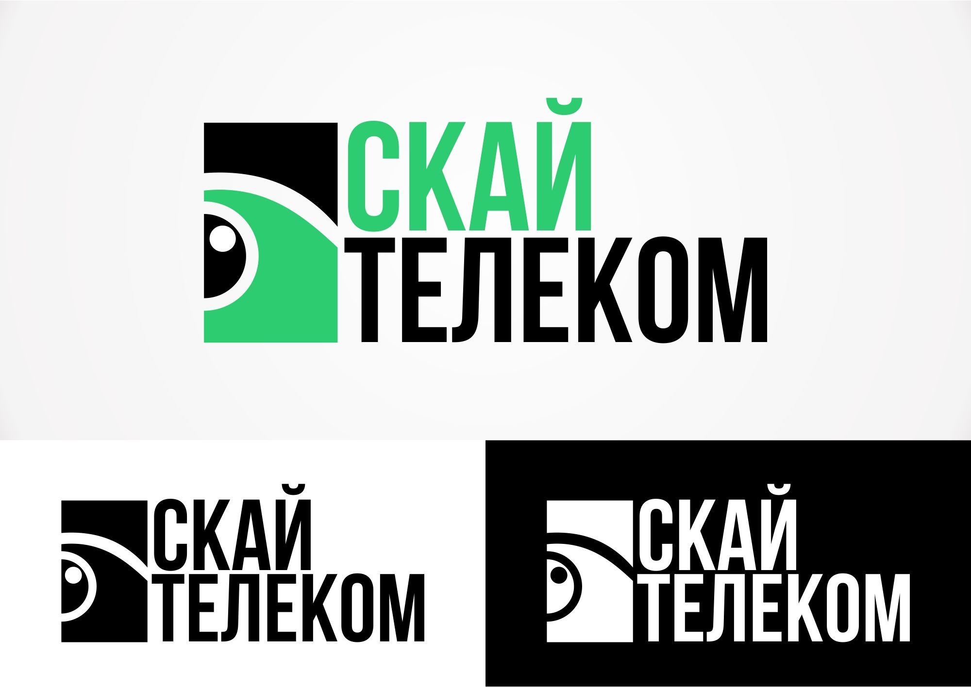 Логотип для Скай Телеком - дизайнер Jaja
