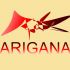 Лого и фирменный стиль для ARIGANA - дизайнер dwetu
