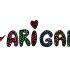 Лого и фирменный стиль для ARIGANA - дизайнер SkateSisters