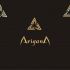 Лого и фирменный стиль для ARIGANA - дизайнер Andrew3D