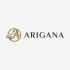 Лого и фирменный стиль для ARIGANA - дизайнер zozuca-a