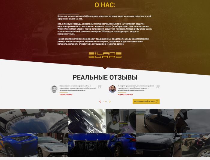 Landing page для silaneguard.ru - дизайнер blackramzess