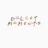 Логотип для Dulcet moments - дизайнер katerina