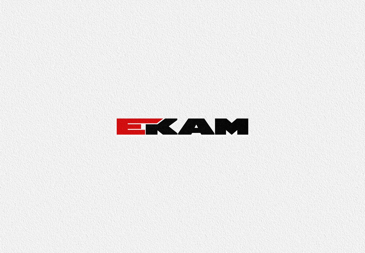 Логотип для сервиса ЕКАМ (кириллица) - дизайнер Advokat72
