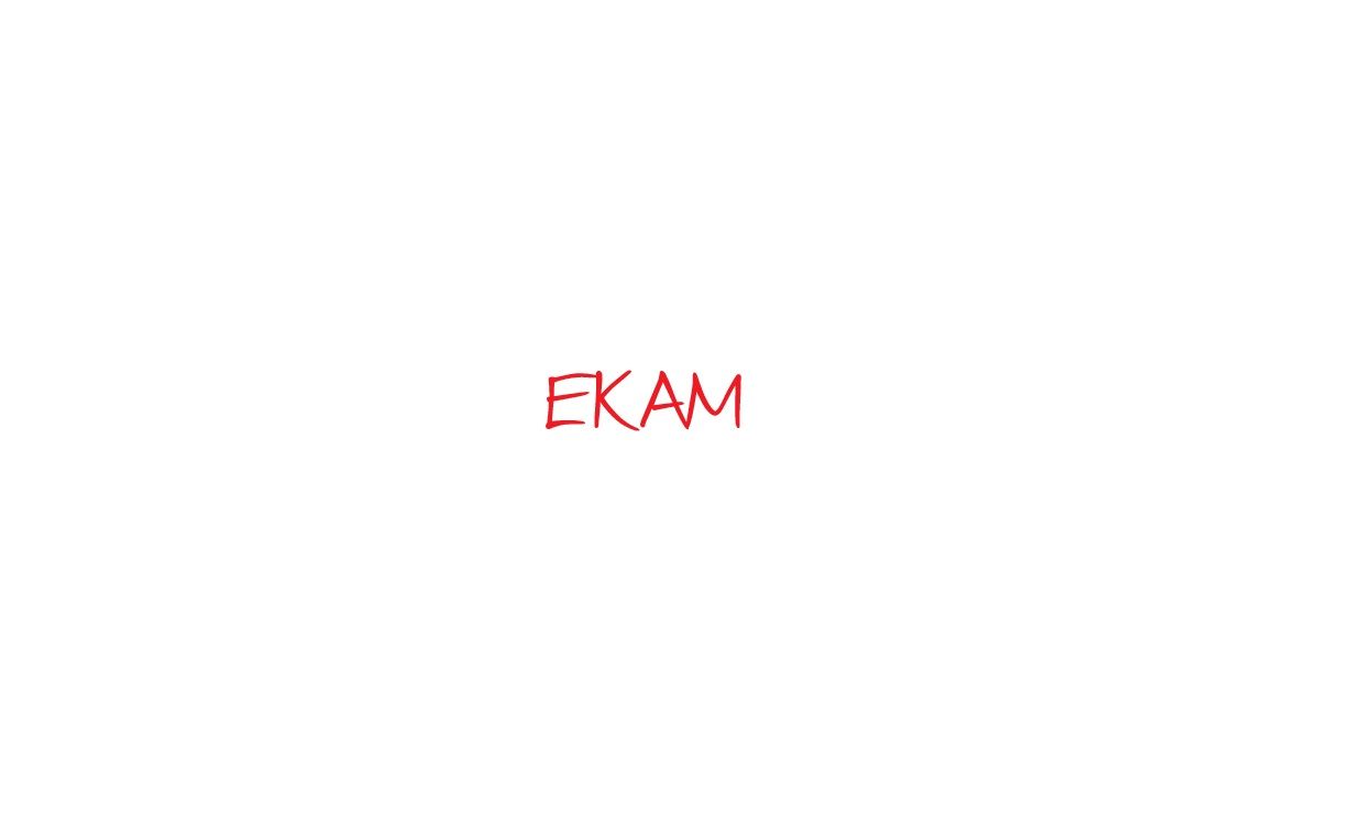 Логотип для сервиса ЕКАМ (кириллица) - дизайнер BeSSpaloFF