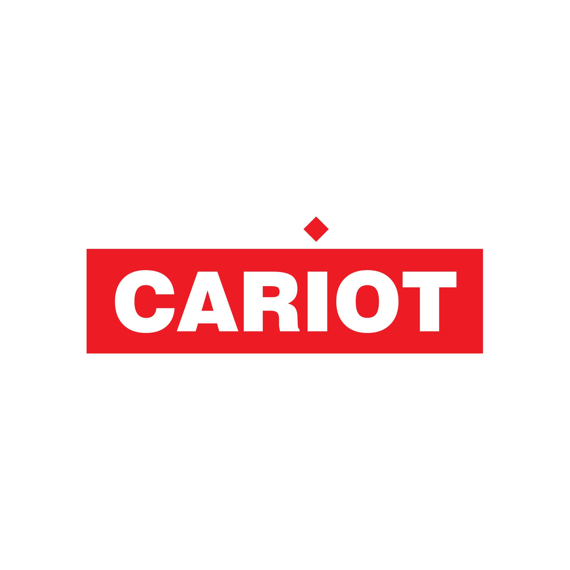 Логотип и ФС для cariot - дизайнер MEOW