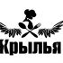 Логотип для Крылья - дизайнер pilotdsn