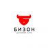 Логотип для «БИЗОН» или «БИЗНЕС-ЗОНА» (полное название) - дизайнер GAMAIUN