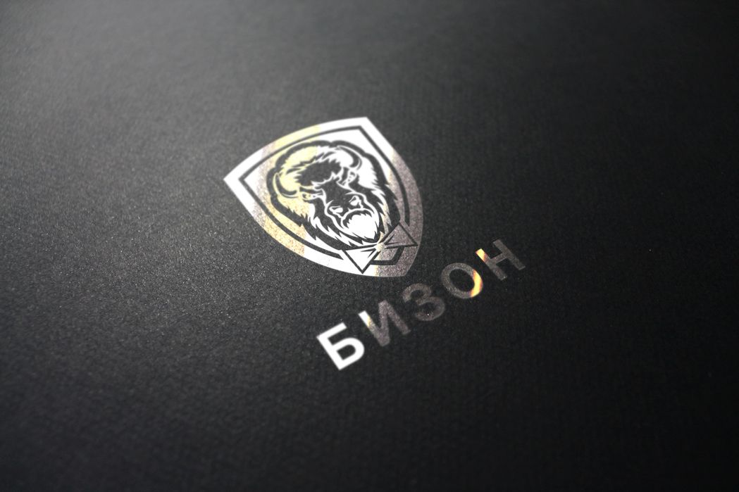 Логотип для «БИЗОН» или «БИЗНЕС-ЗОНА» (полное название) - дизайнер art-valeri