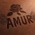 Логотип для AMUR, AMUR Flovers - дизайнер Sasha-Leo