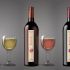 Дизайн винной этикетки - дизайнер andblin61