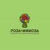 Логотип для Роза-мимоза - дизайнер andyul