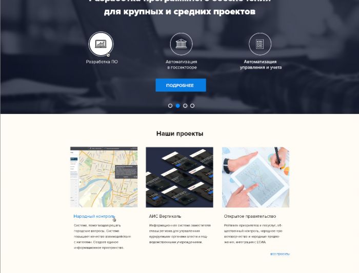 Веб-сайт для Сайт для разработчика ПО - дизайнер anna_khomenko