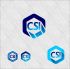 Лого и фирменный стиль для Crystal Service Integration - дизайнер AlexZab