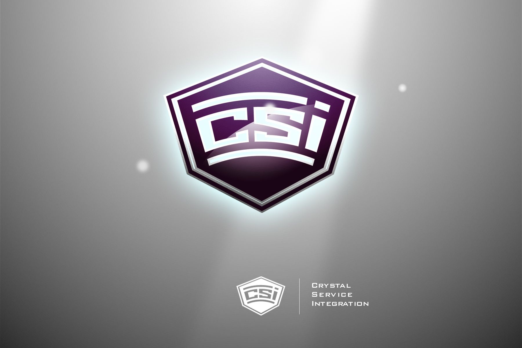 Лого и фирменный стиль для Crystal Service Integration - дизайнер bond-amigo