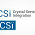 Лого и фирменный стиль для Crystal Service Integration - дизайнер hadeni11