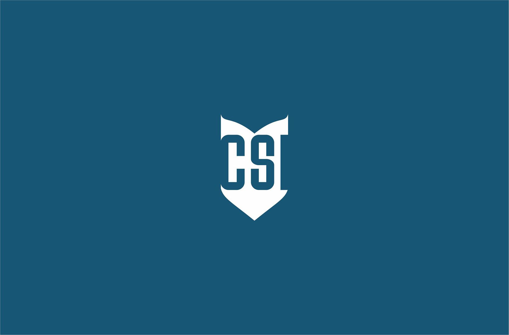 Лого и фирменный стиль для Crystal Service Integration - дизайнер cloudlixo