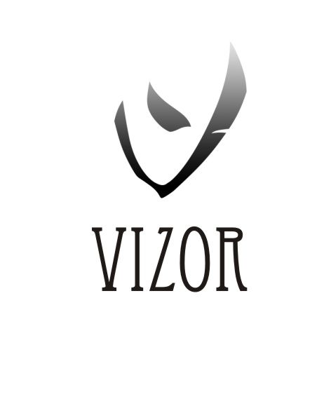 Логотип для Vizor - дизайнер evgeniia