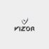 Логотип для Vizor - дизайнер radchuk-ruslan