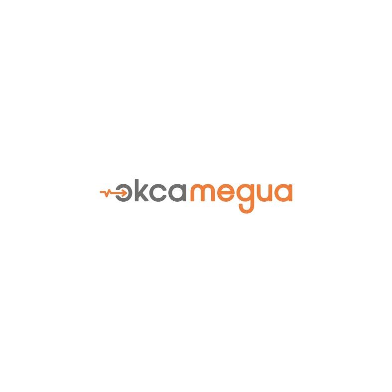 Логотип для Экса Медиа - дизайнер pin