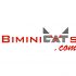Логотип для Biminicats - дизайнер DocA