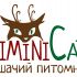 Логотип для Biminicats - дизайнер Ayolyan