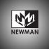 Лого и фирменный стиль для NewMan - дизайнер vision