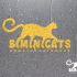 Логотип для Biminicats - дизайнер serz4868