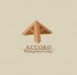Лого и фирменный стиль для «Accord Management Group»   (AMG) - дизайнер Egotoire