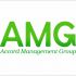 Лого и фирменный стиль для «Accord Management Group»   (AMG) - дизайнер freelancem2015