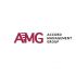 Лого и фирменный стиль для «Accord Management Group»   (AMG) - дизайнер Nikosha