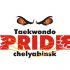 Логотип для taekwondo PRIDE chelyabinsk - дизайнер managaz