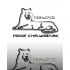 Логотип для taekwondo PRIDE chelyabinsk - дизайнер IGOR