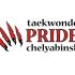 Логотип для taekwondo PRIDE chelyabinsk - дизайнер NetLucker8