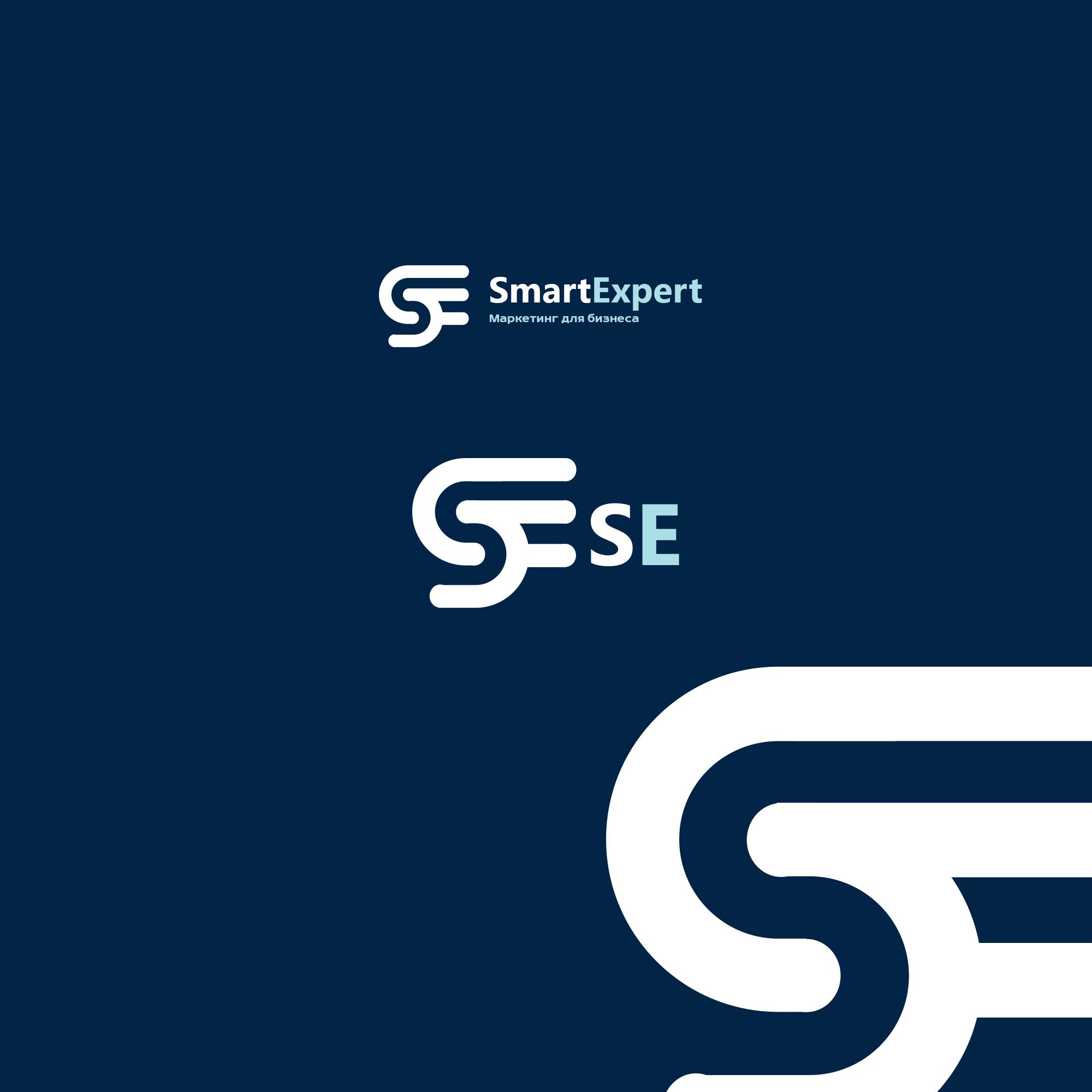 Логотип для SmartExpert - дизайнер weste32
