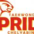 Логотип для taekwondo PRIDE chelyabinsk - дизайнер myjob