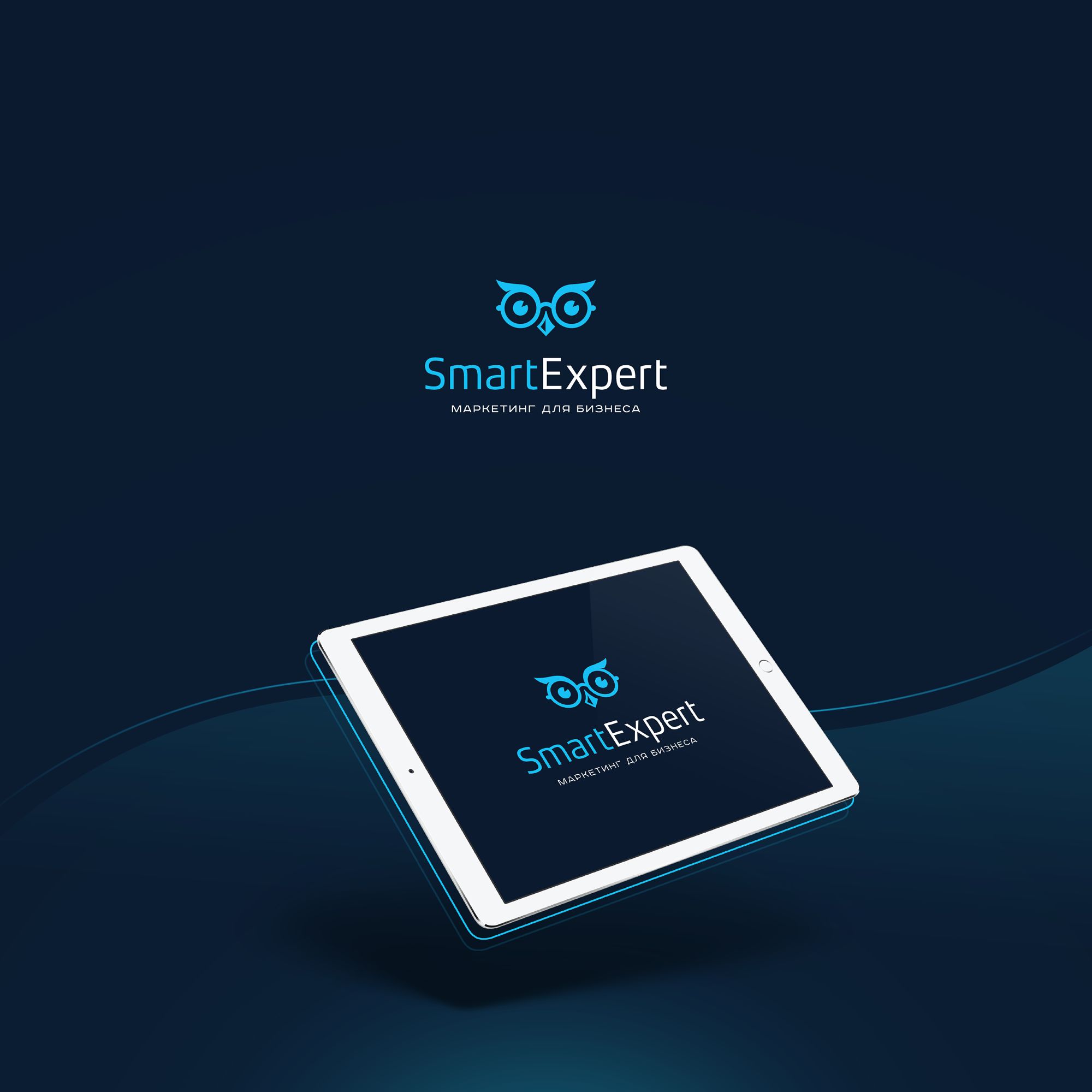 Логотип для SmartExpert - дизайнер nuttale