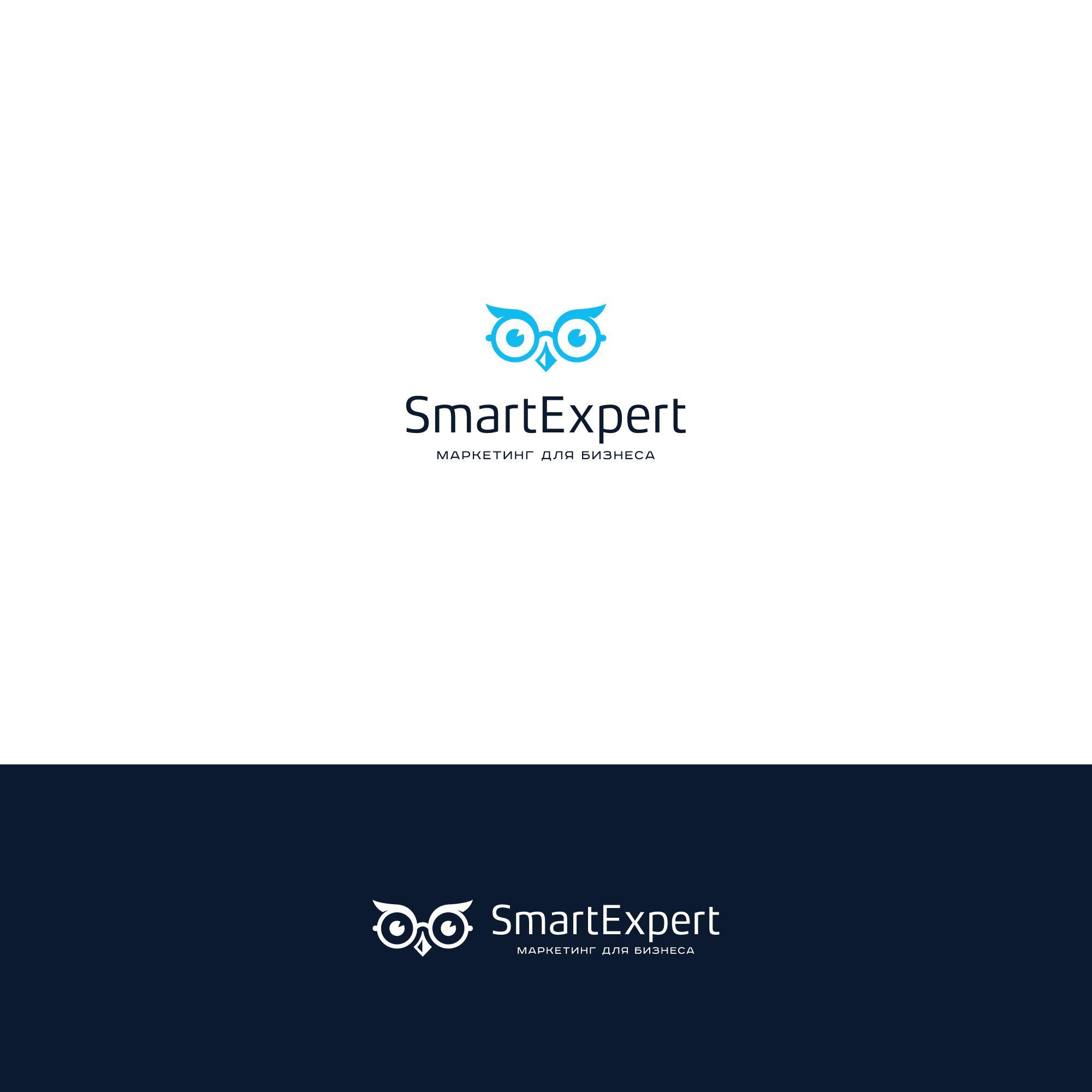 Логотип для SmartExpert - дизайнер nuttale