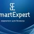 Логотип для SmartExpert - дизайнер elena08v