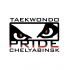 Логотип для taekwondo PRIDE chelyabinsk - дизайнер DocA